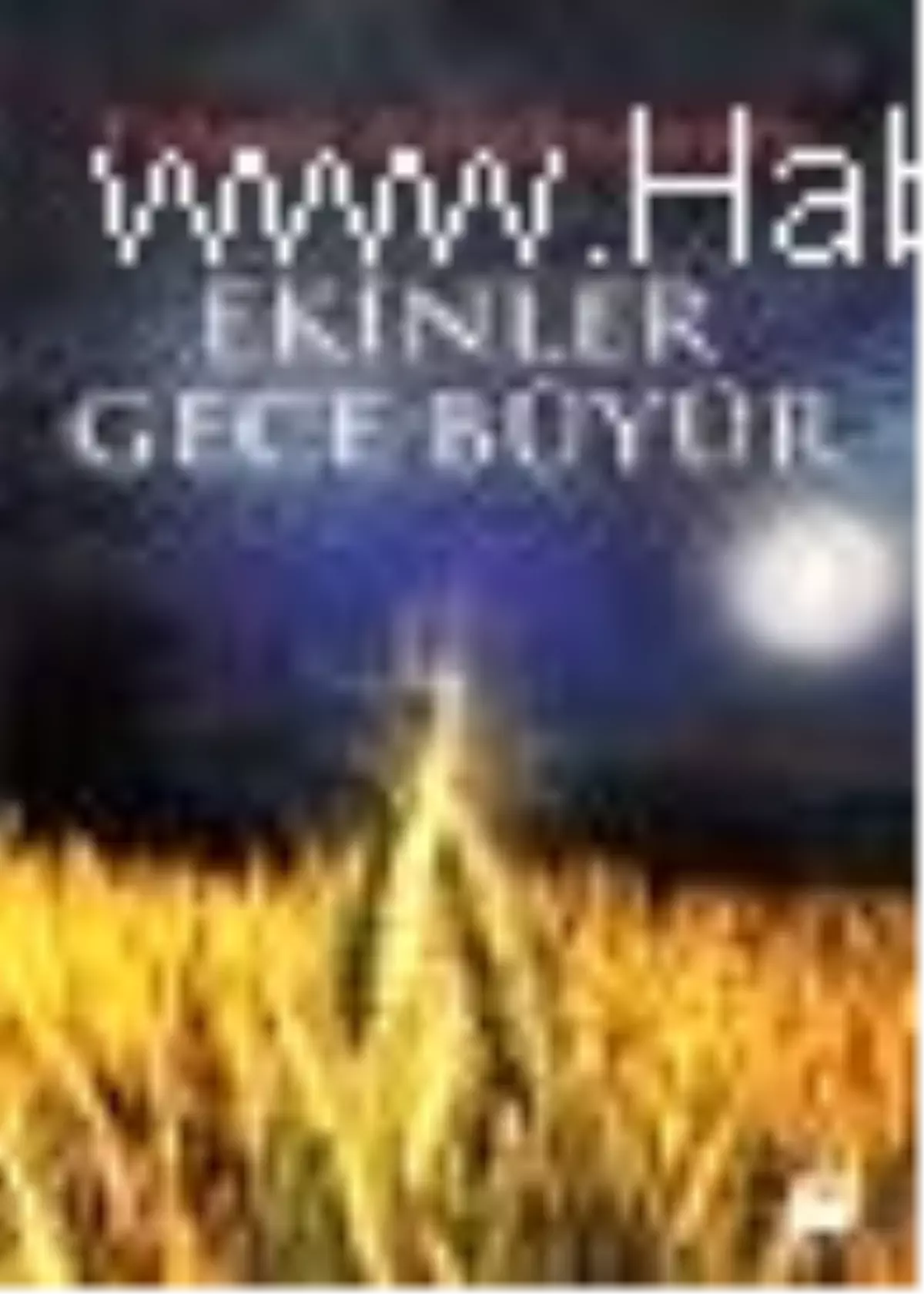 Ekinler Gece Büyür Kitabı