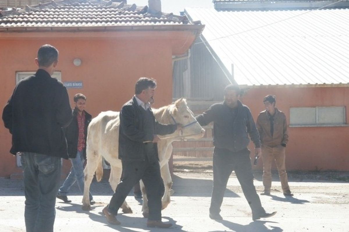 Elazığ Belediyesi Tarafından Kurban Timi Kuruldu