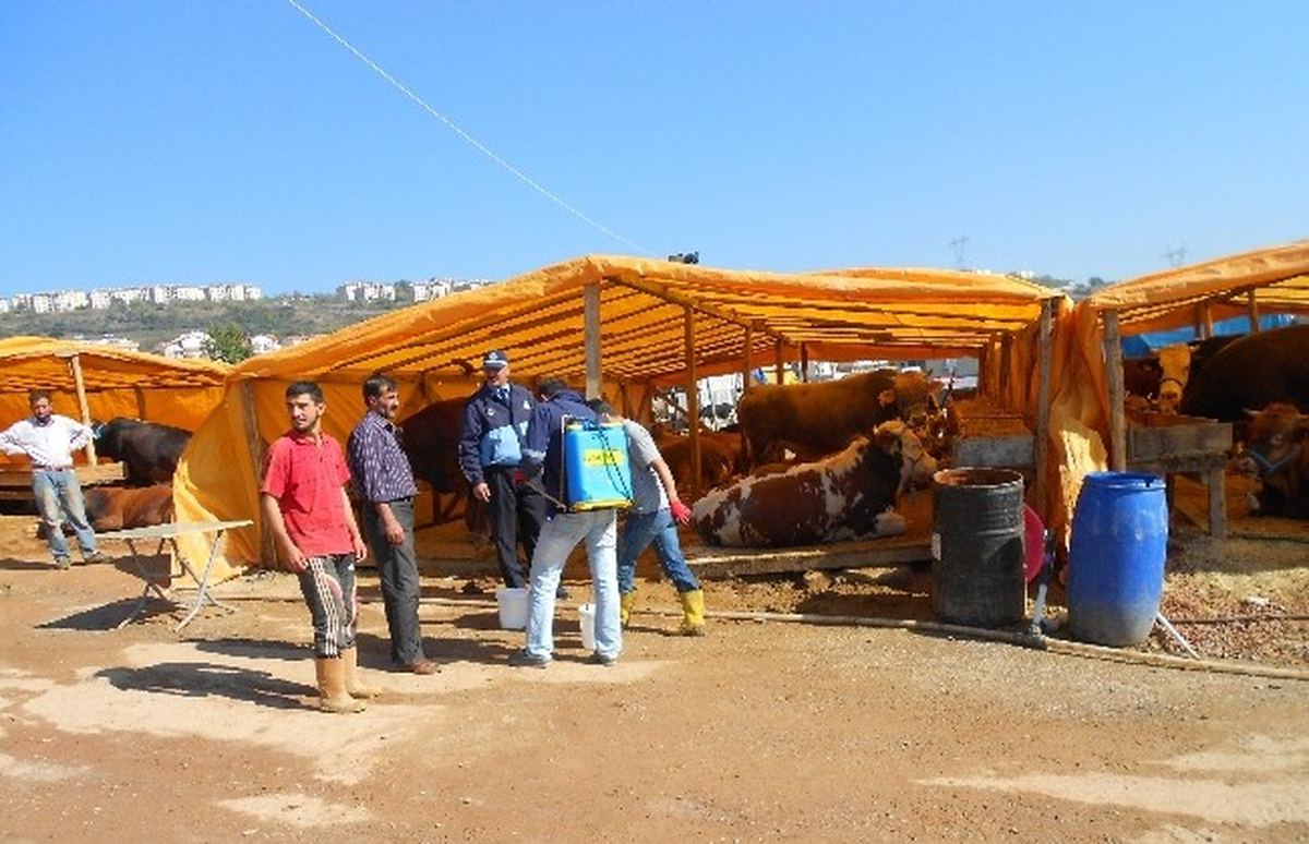 İzmit Kurban Pazarında Her Şey Yolunda