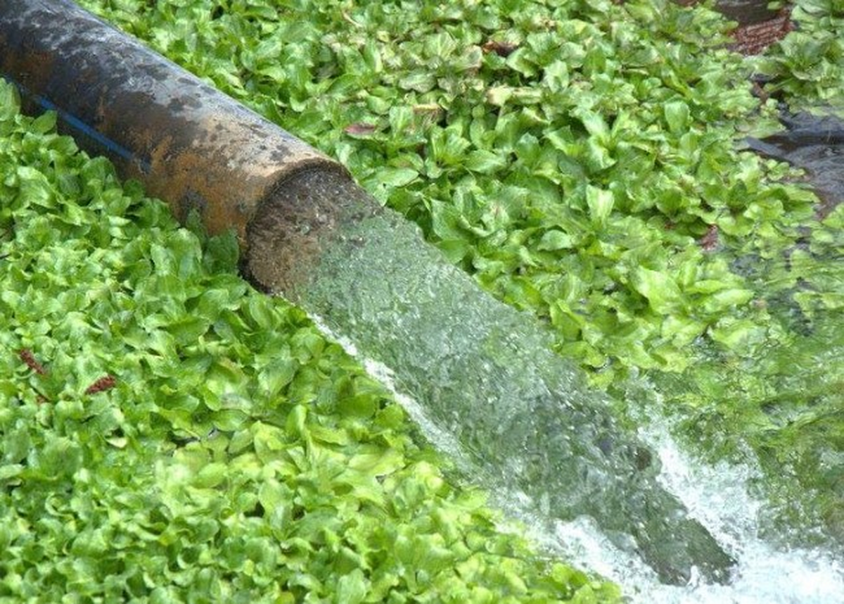Karadağ\'da Plav Şehrinin Su İsale Hatları Yenileniyor