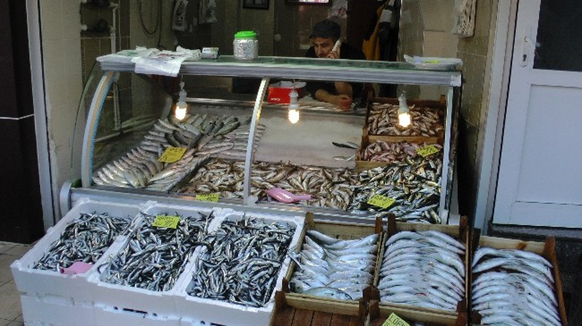 Karadeniz\'de Lüfer Bolluğu