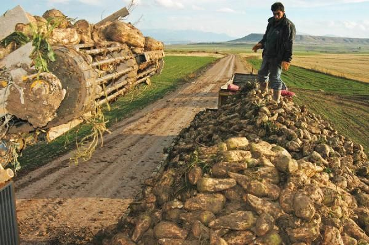 Kayseri Şeker Fabrikası\'ndan Çiftçiye Bayram Müjdesi