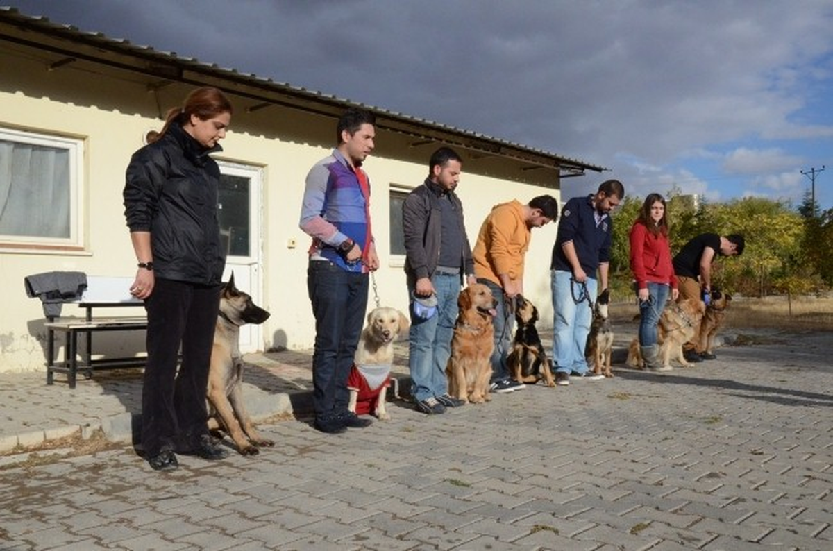 Kırıkkale Üniversitesi\'nde Köpek Eğitim Kursu Açıldı