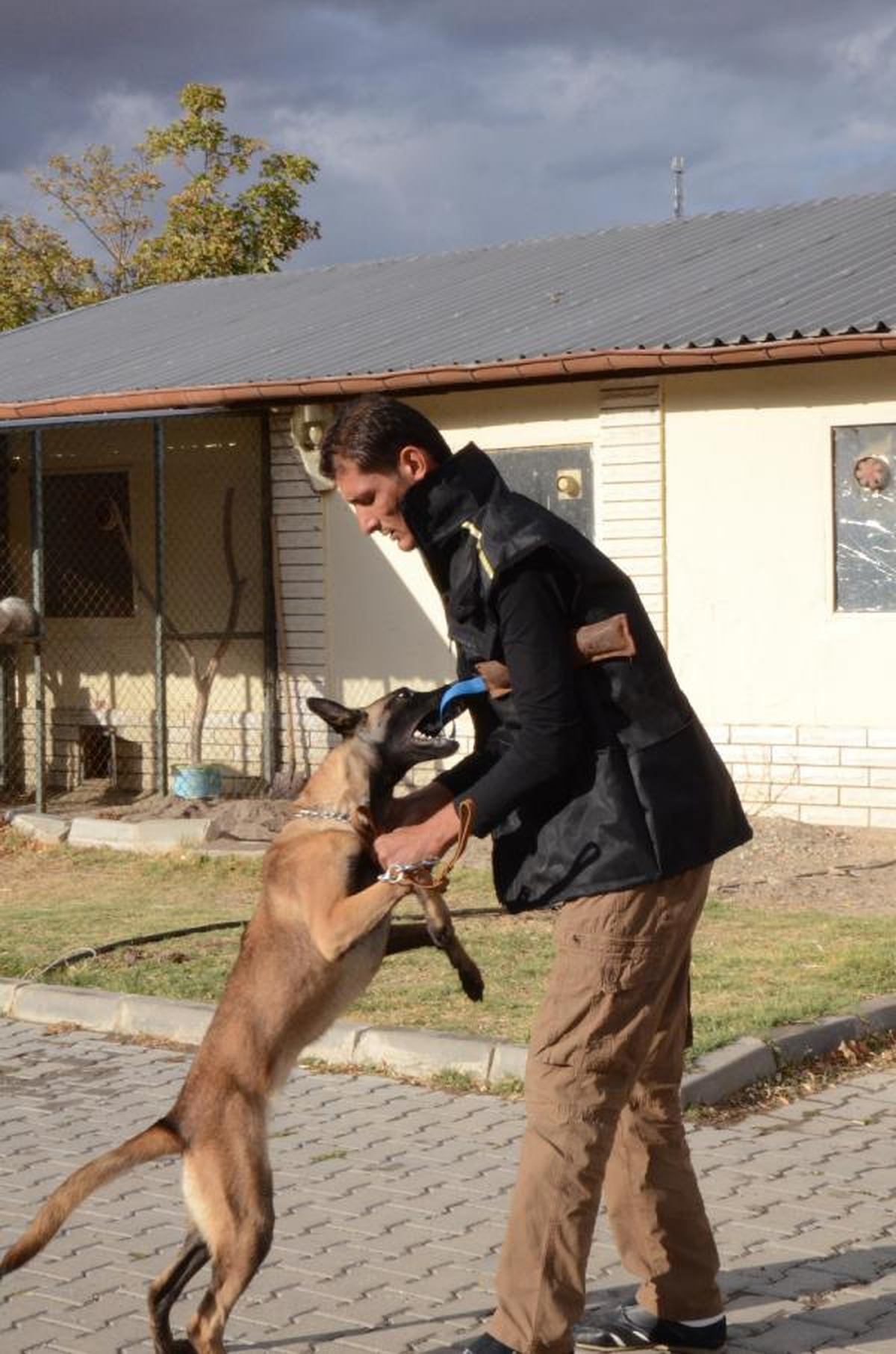 Kırıkkale Üniversitesi\'nde \'Köpek İtaat Eğitimi\' Kursu