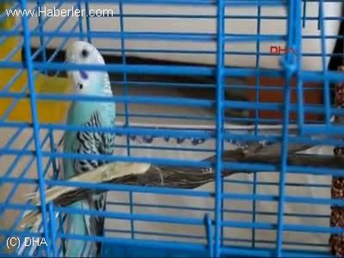 Muhabbetleri Çok İyi