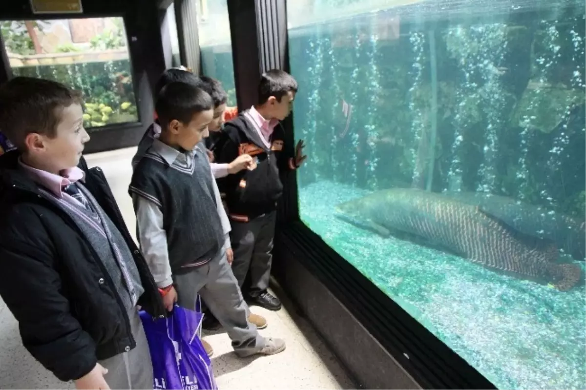 Öğrencilere Hayvanat Bahçesi Gezisi