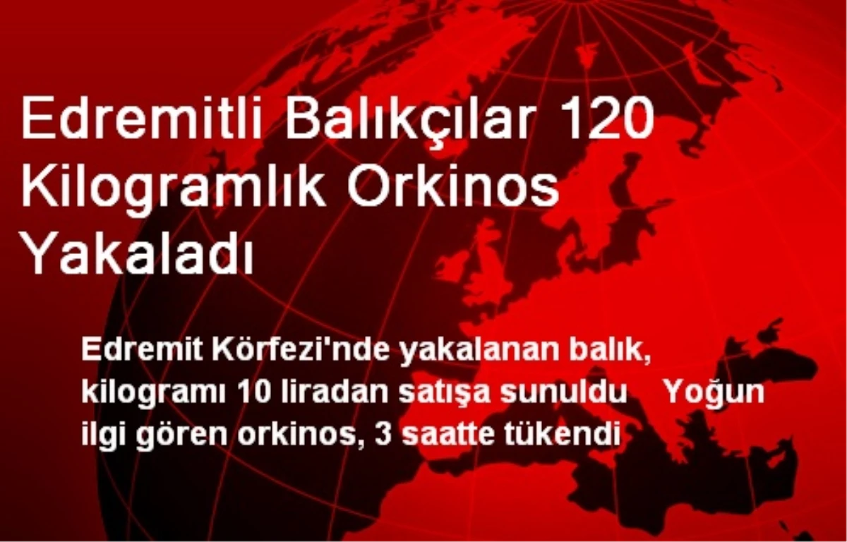 Edremitli Balıkçılar 120 Kilogramlık Orkinos Yakaladı