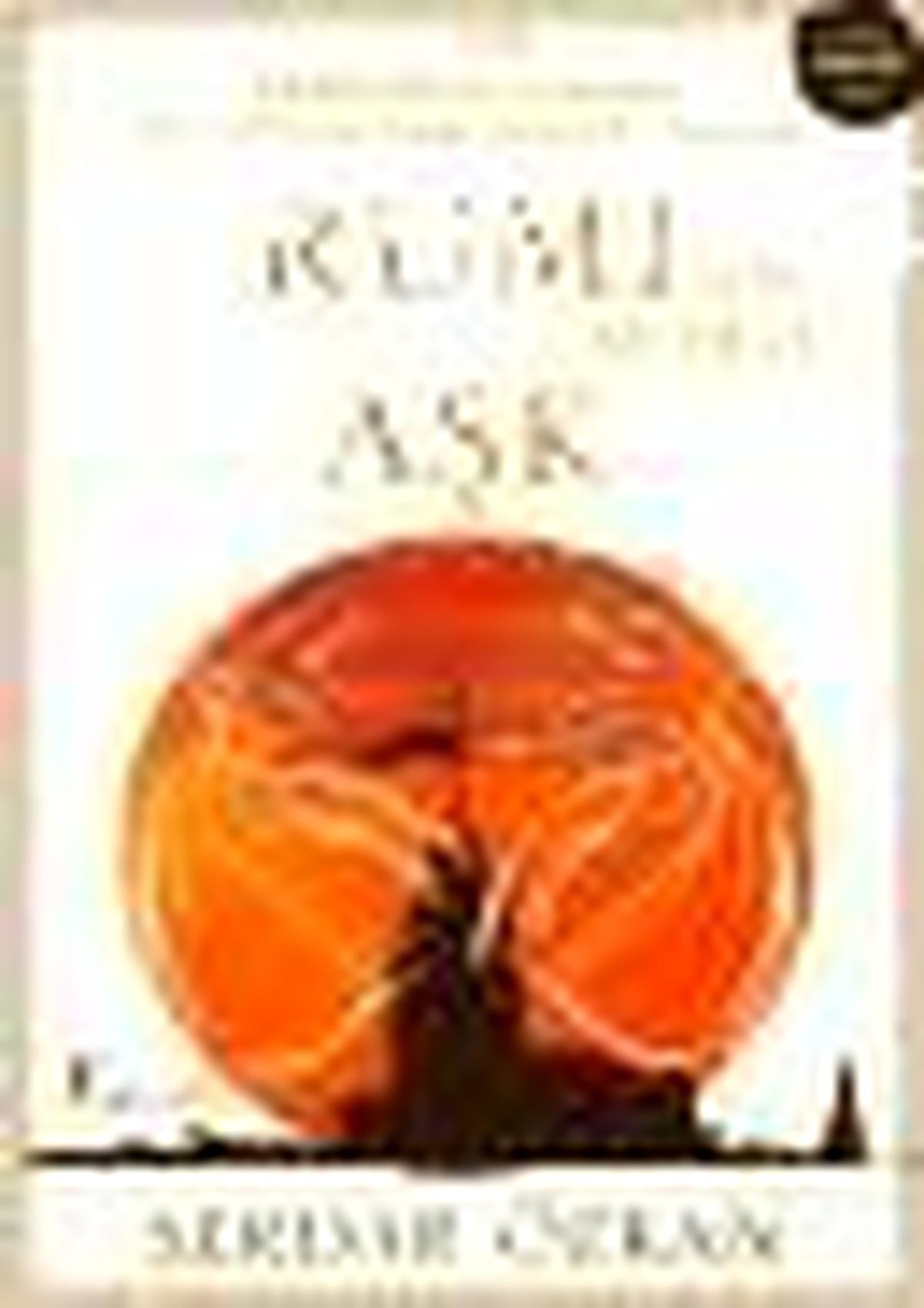 Rumi\'nin Bildiği Aşk Kitabı