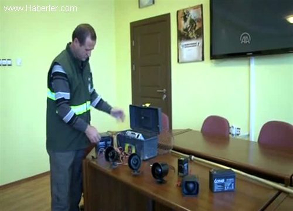 Takım çantası düzeneğiyle bıldırcın avı