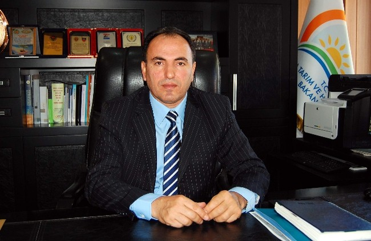 Yağlı Tohum Desteklemeleri Hasattan Hemen Sonra Verilecek