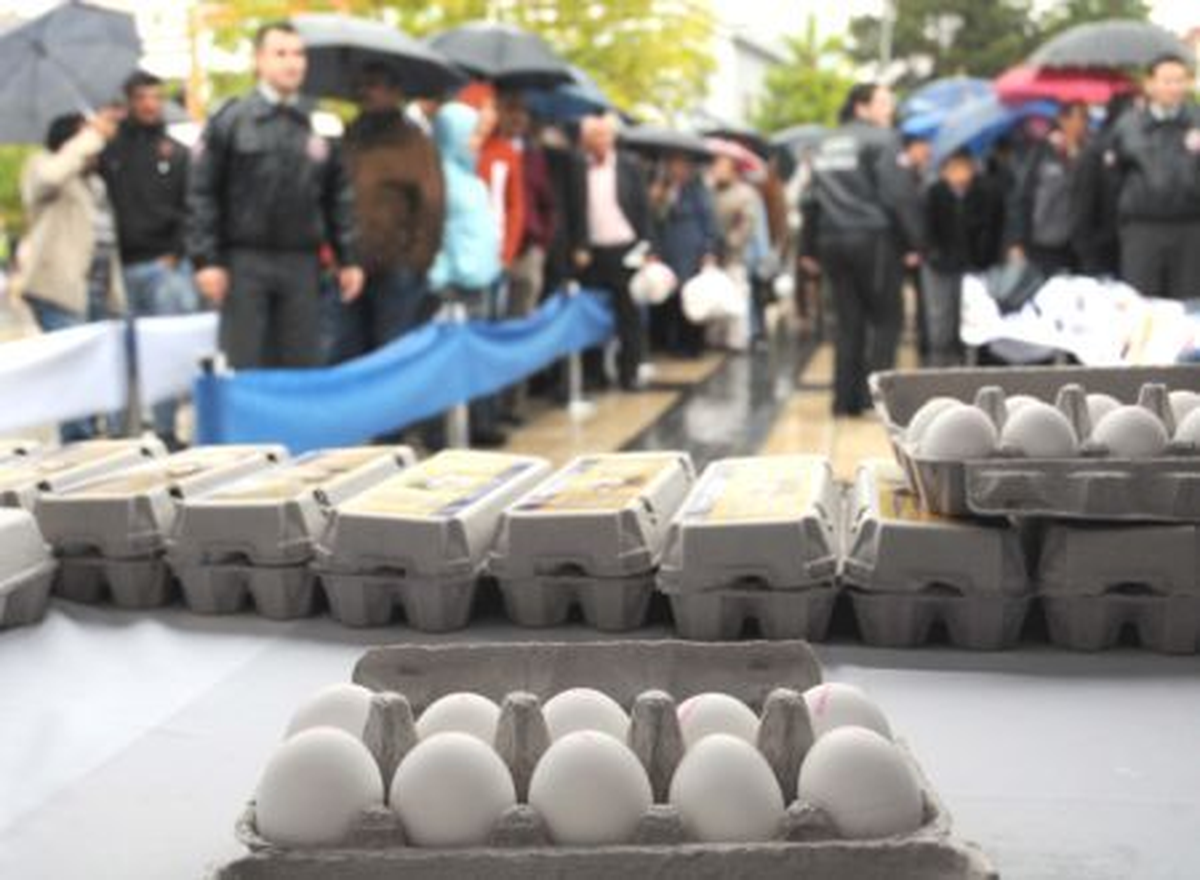 11 Ekim Dünya Yumurta Günü
