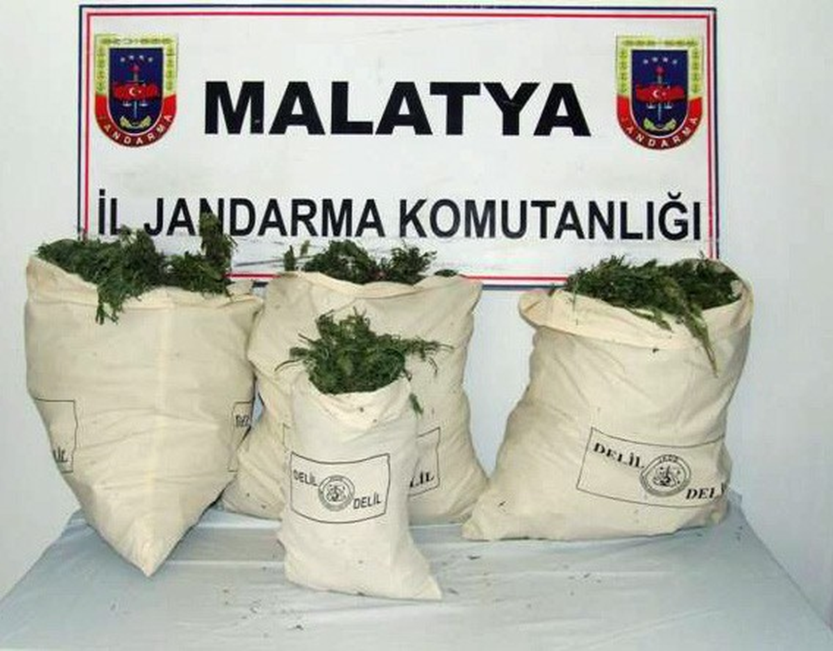 20 Kilo Esrar Ele Geçirildi