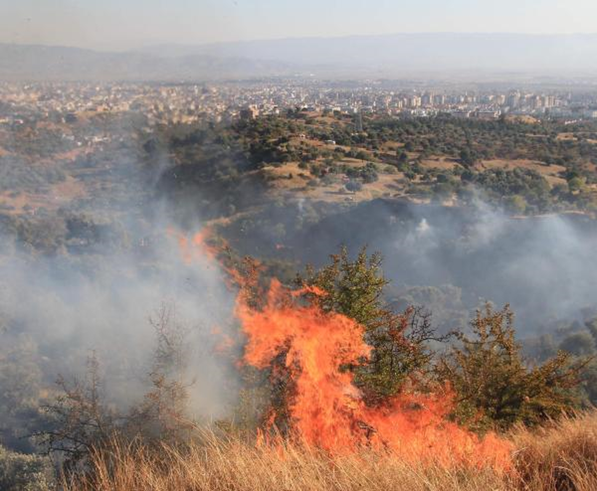 Alevler, Aydın\'da 20 Hektar Alanı Küle Çevirdi