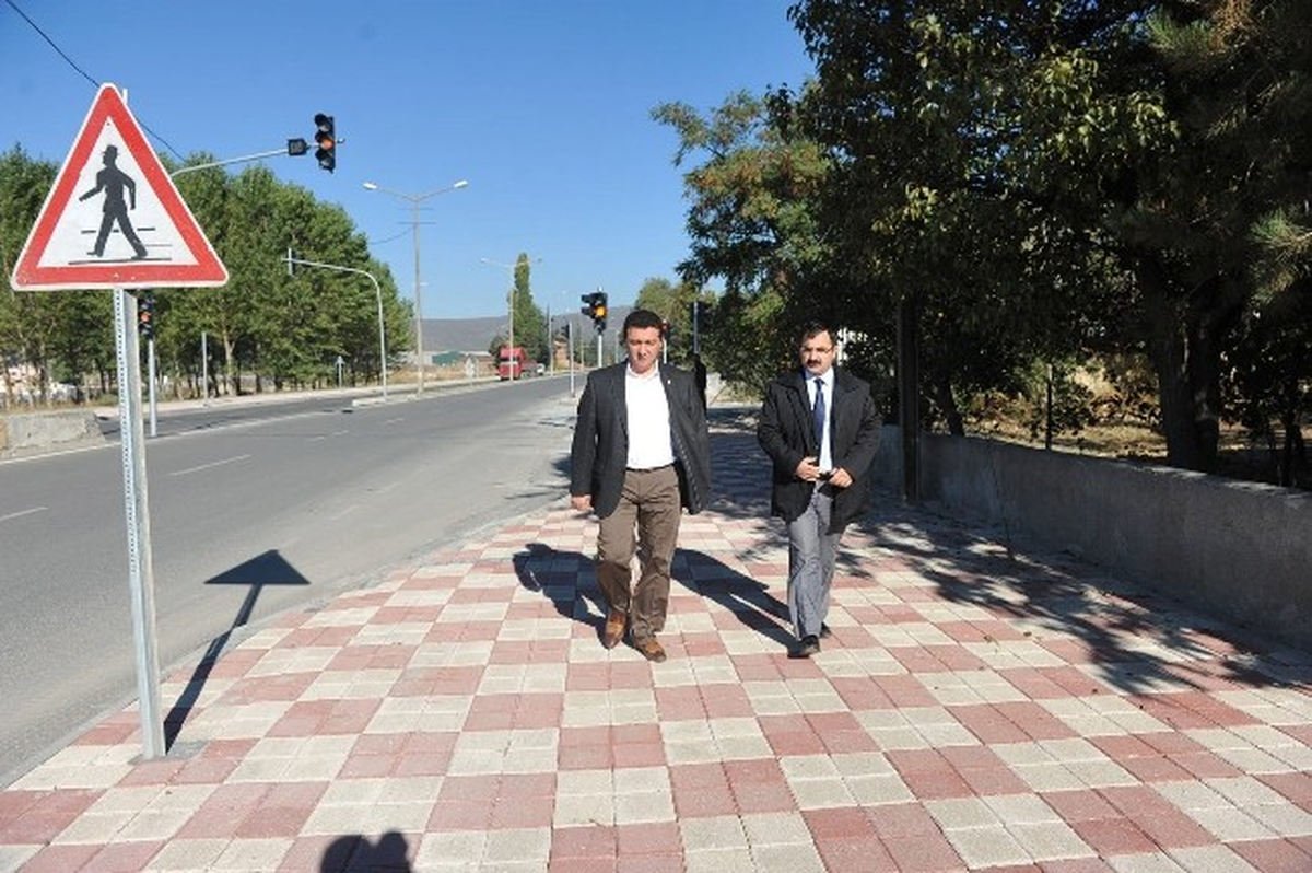 Başkan Vekili Bakıcı Fidan Dikim Yerlerini Belirledi