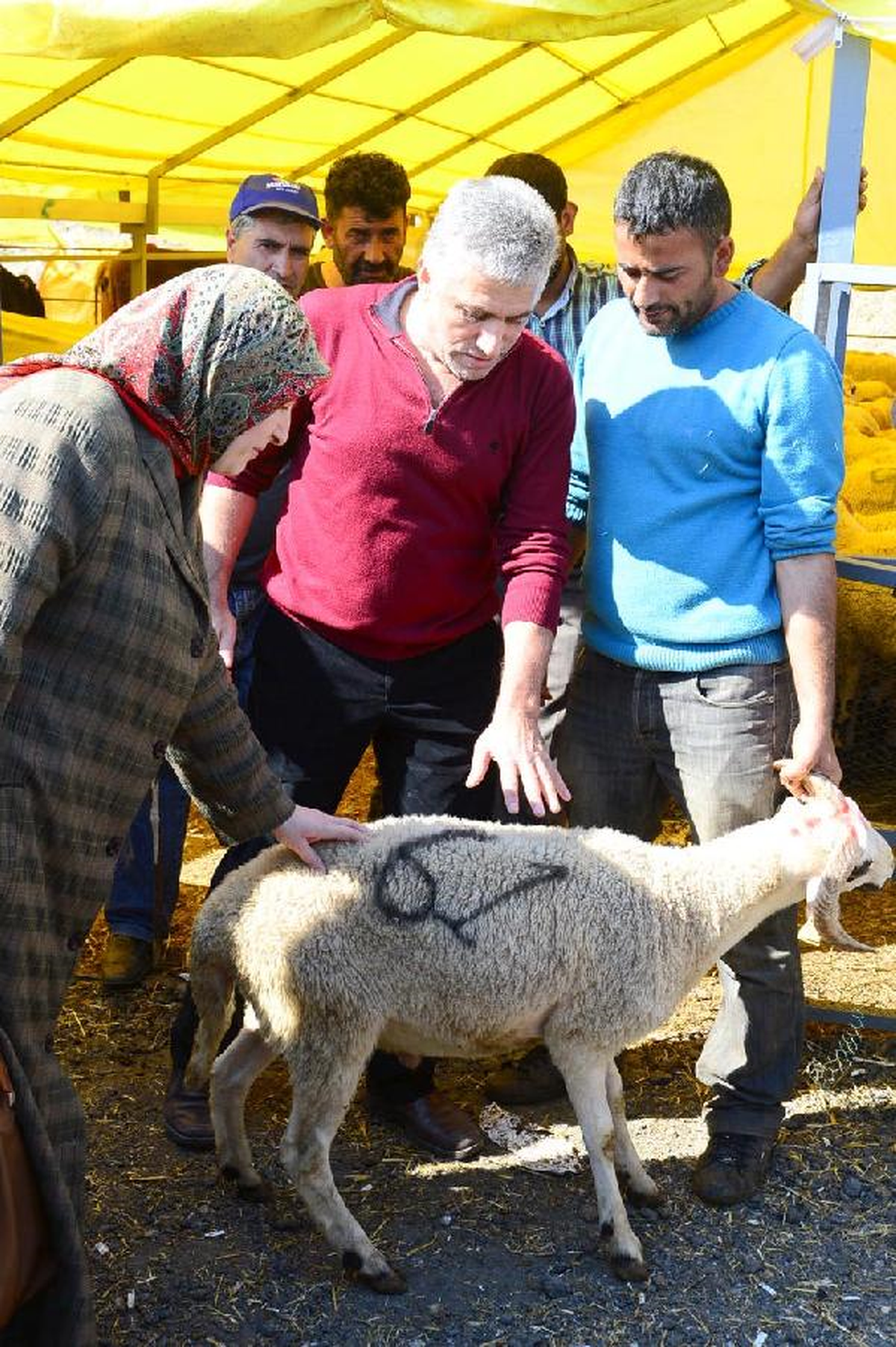 Beylikdüzü\'nde Kurban Kesim Tatbikatı