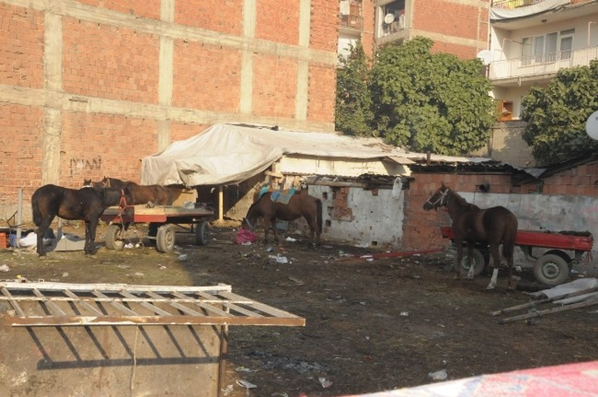 Bursa\'da At Operasyonunda Sıcak Saatler Yaşandı
