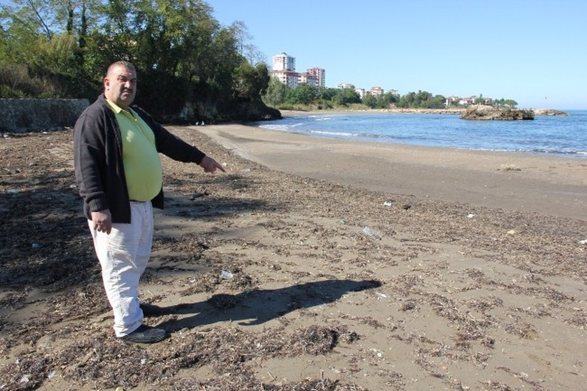Fatsa\'da Deniz 30 Metre Çekildi