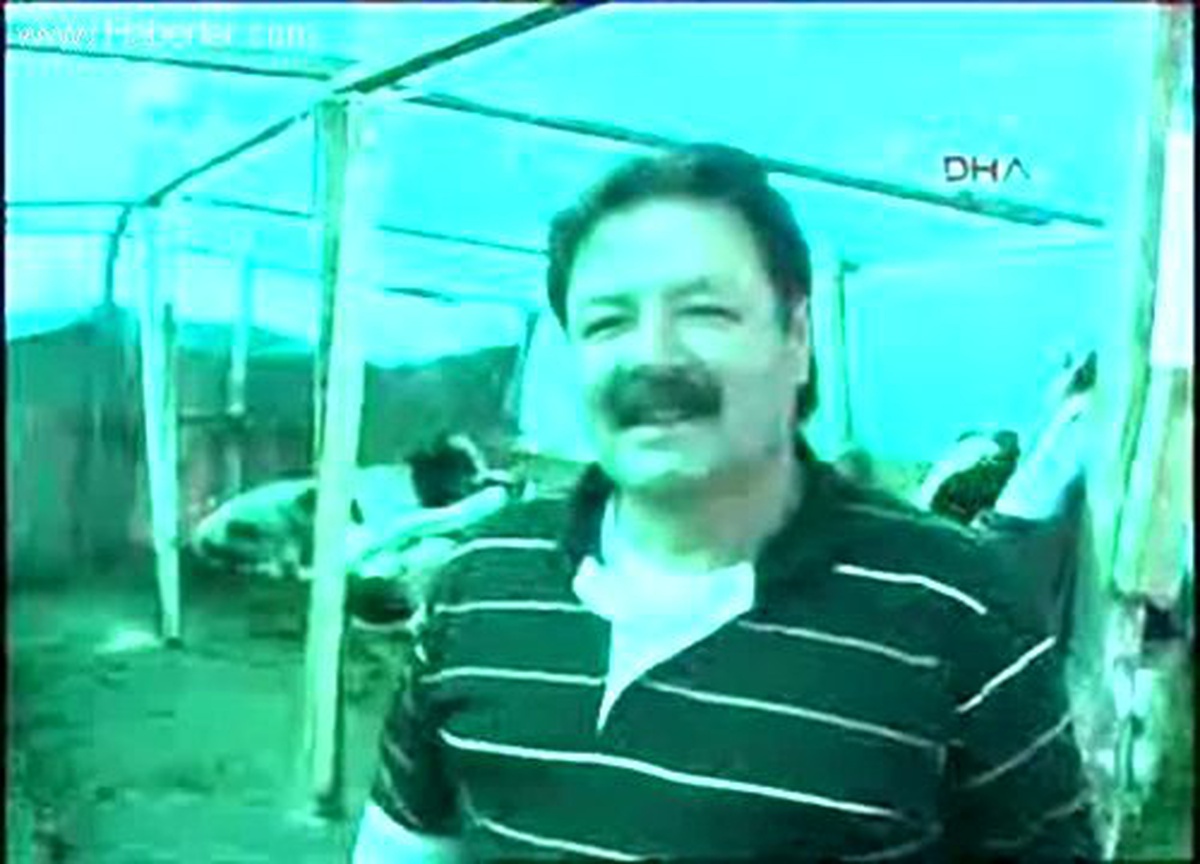 İkinci El Otomobil Fiyatına Kurnbanlık Dana