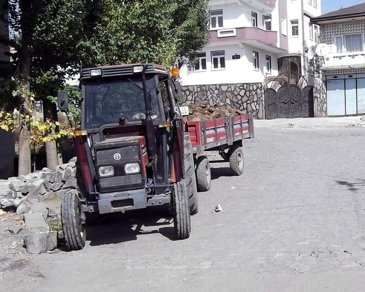 Kars\'ta Havalar Soğudu Tezekler Görücüye Çıktı
