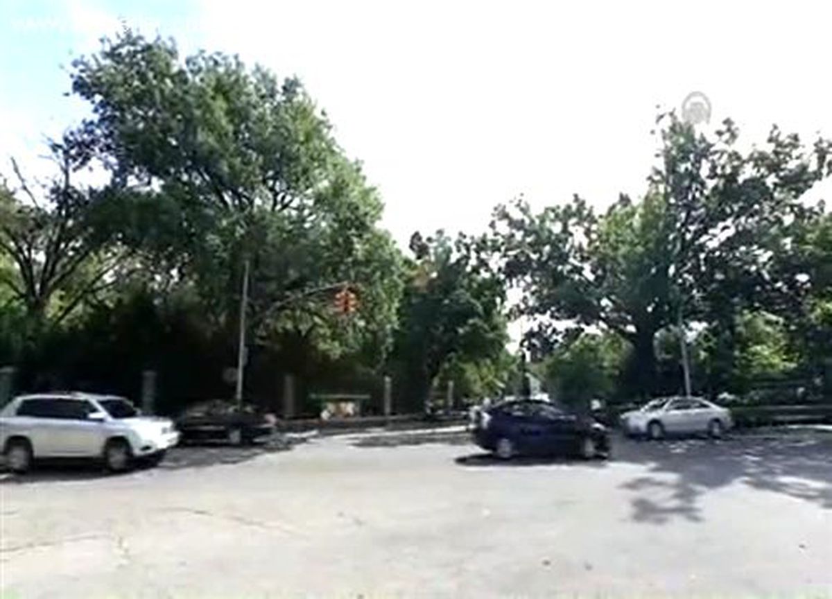 New York\'un "çiçek heykelleri" NEW