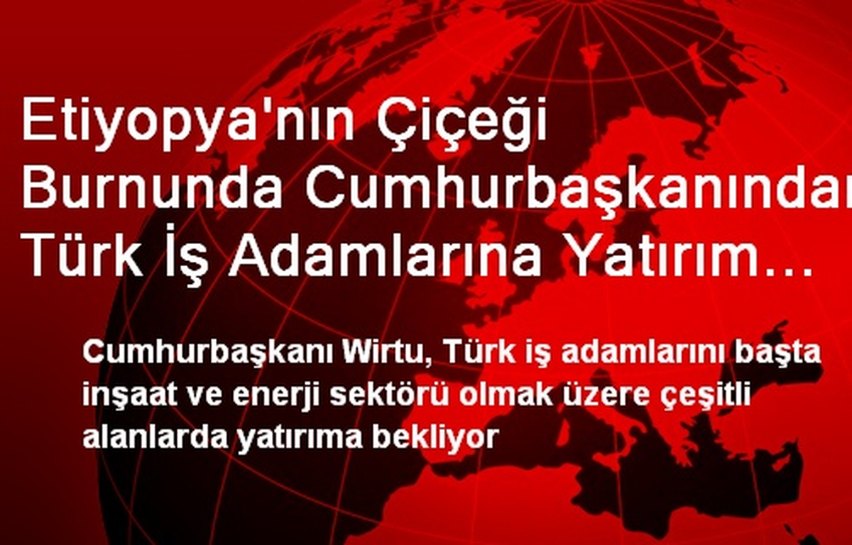 Etiyopya\'nın Çiçeği Burnunda Cumhurbaşkanından Türk İş Adamlarına Yatırım Daveti