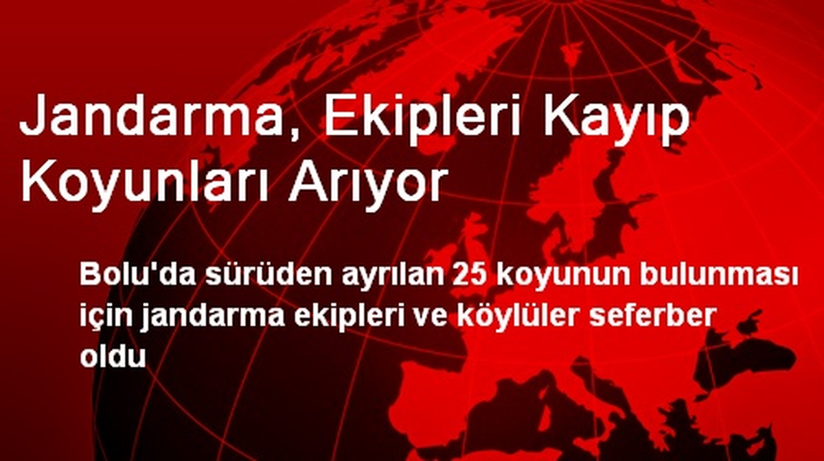 Jandarma, Ekipleri Kayıp Koyunları Arıyor