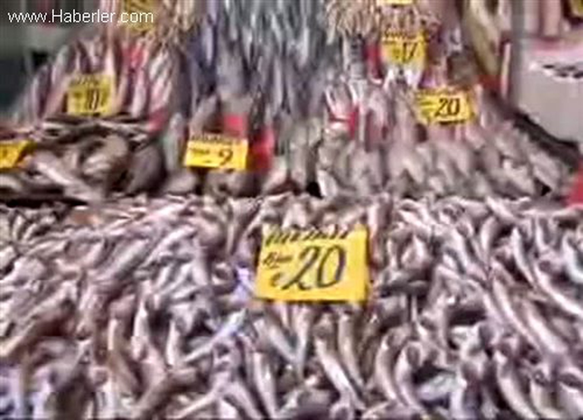 Samsun\'da Palamut\'ta Fiyat Farkı Kafaları Karıştırdı