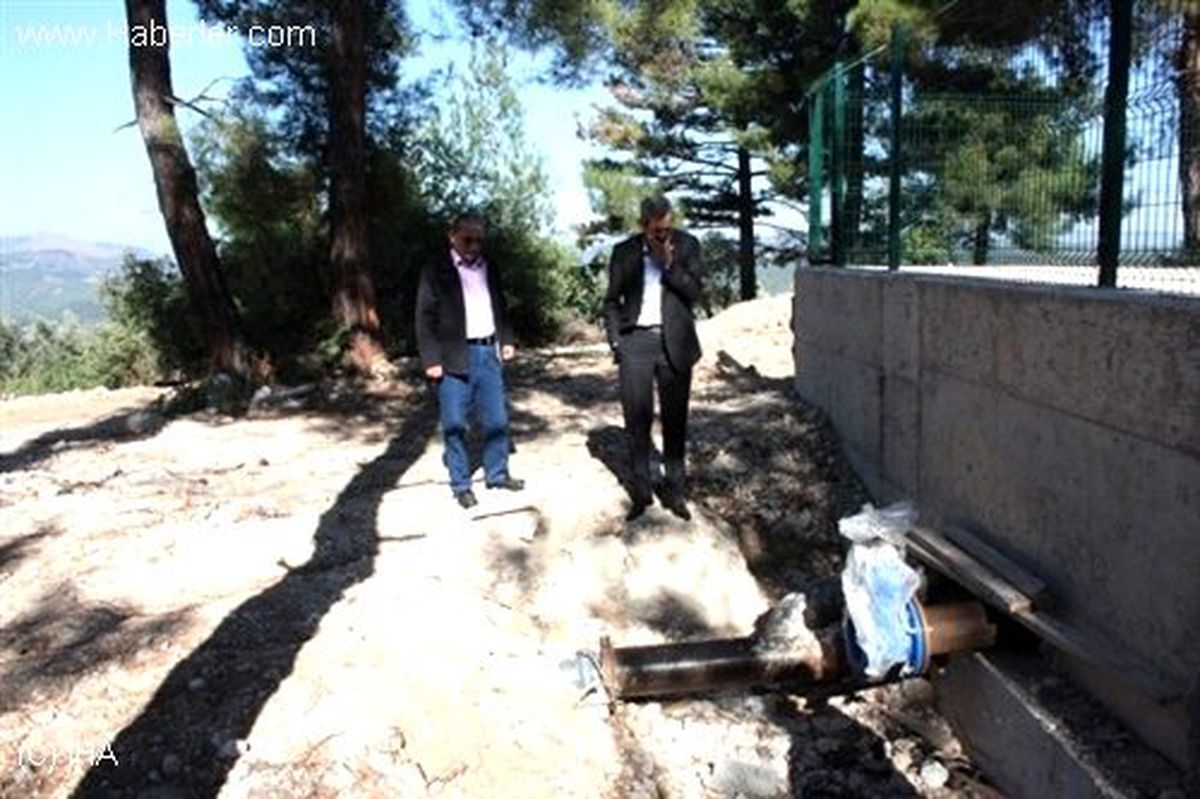 Siyah İncire Sulama Dopingi