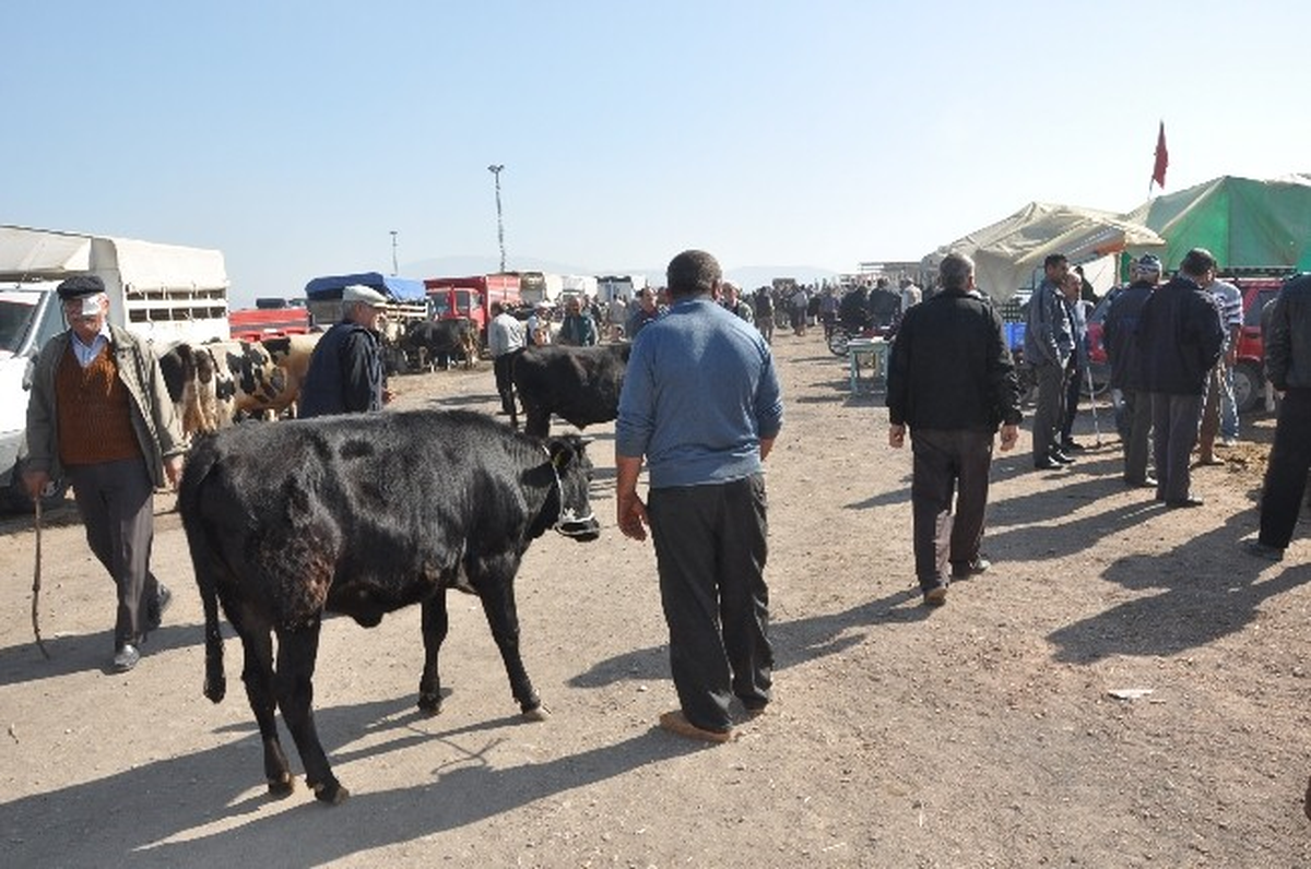 Soma Kurban Pazarında Hareketlilik Arttı