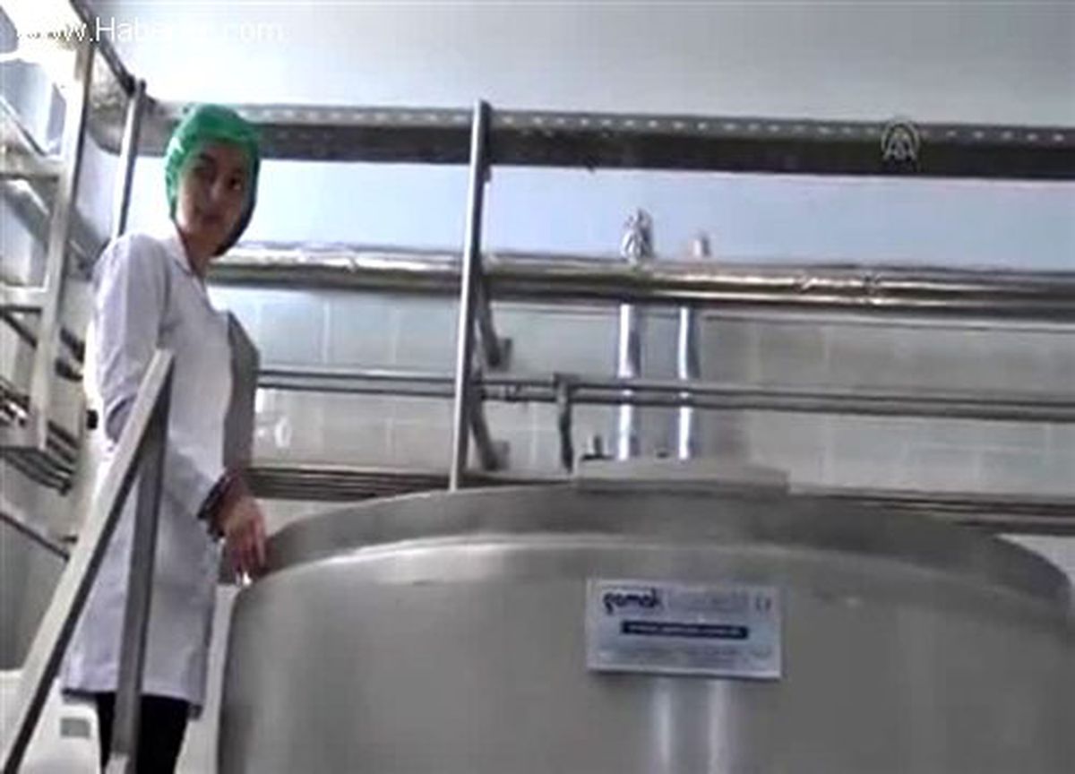 Üniversitede üretilen kaşar peynirine patent alacaklar
