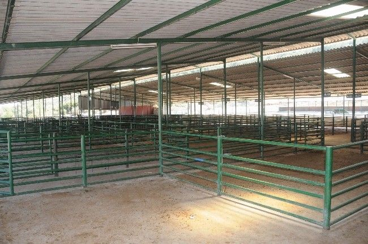 Van\'da Kurban Satış ve Kesim Yerleri Belirlendi