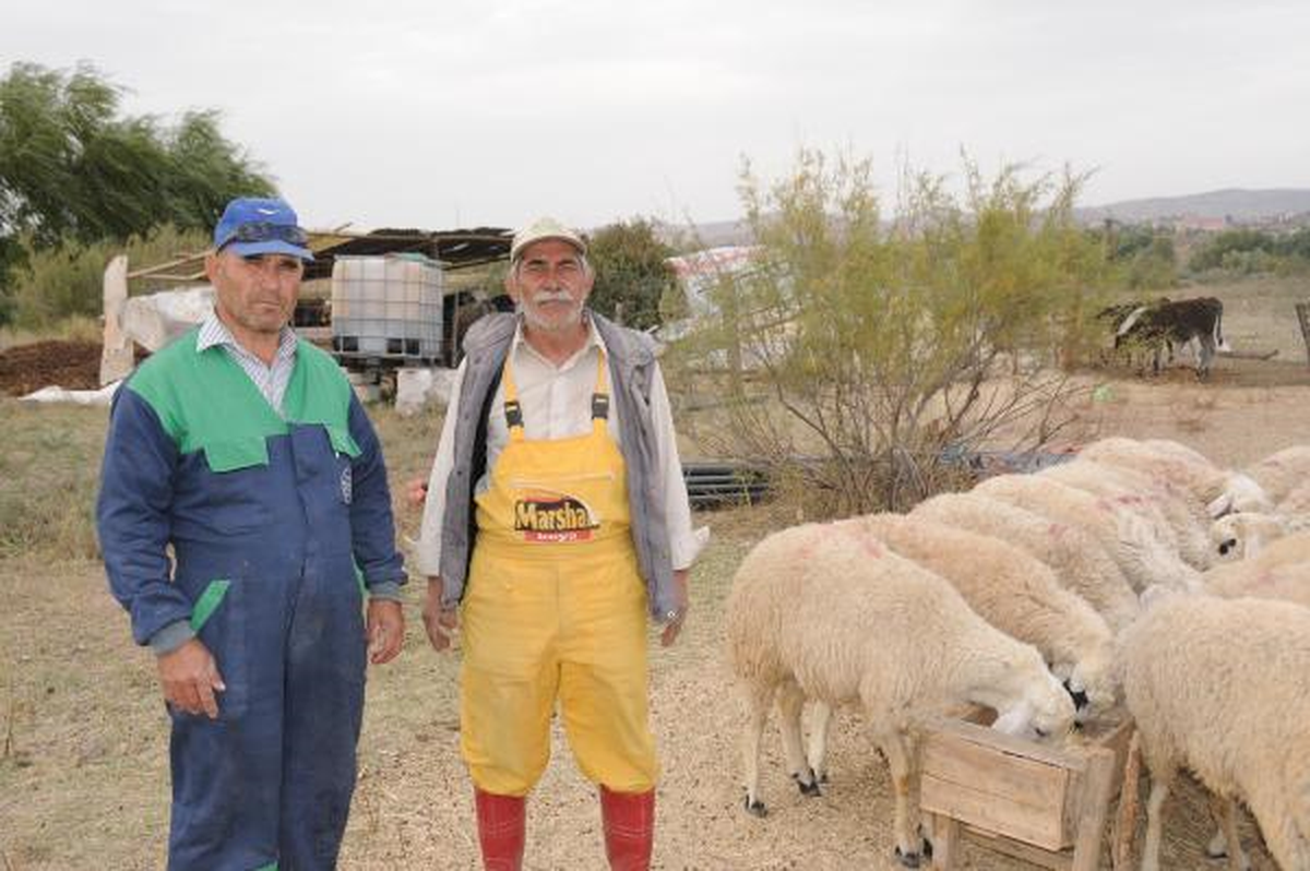 Yaban Hayvanları İçin Doğaya 109 Kilo Et Bıraktılar