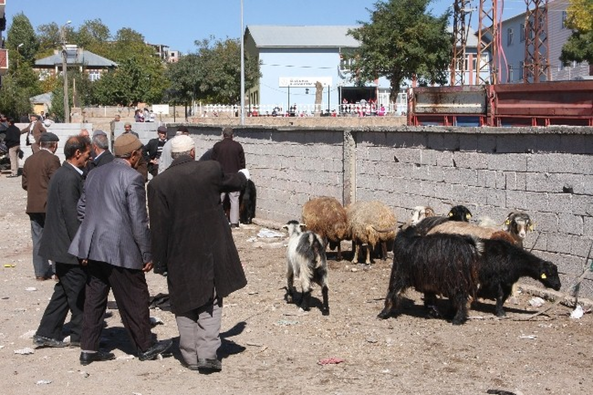 Ahlat\'taki Kurbanlıklar Alıcı Bulamıyor