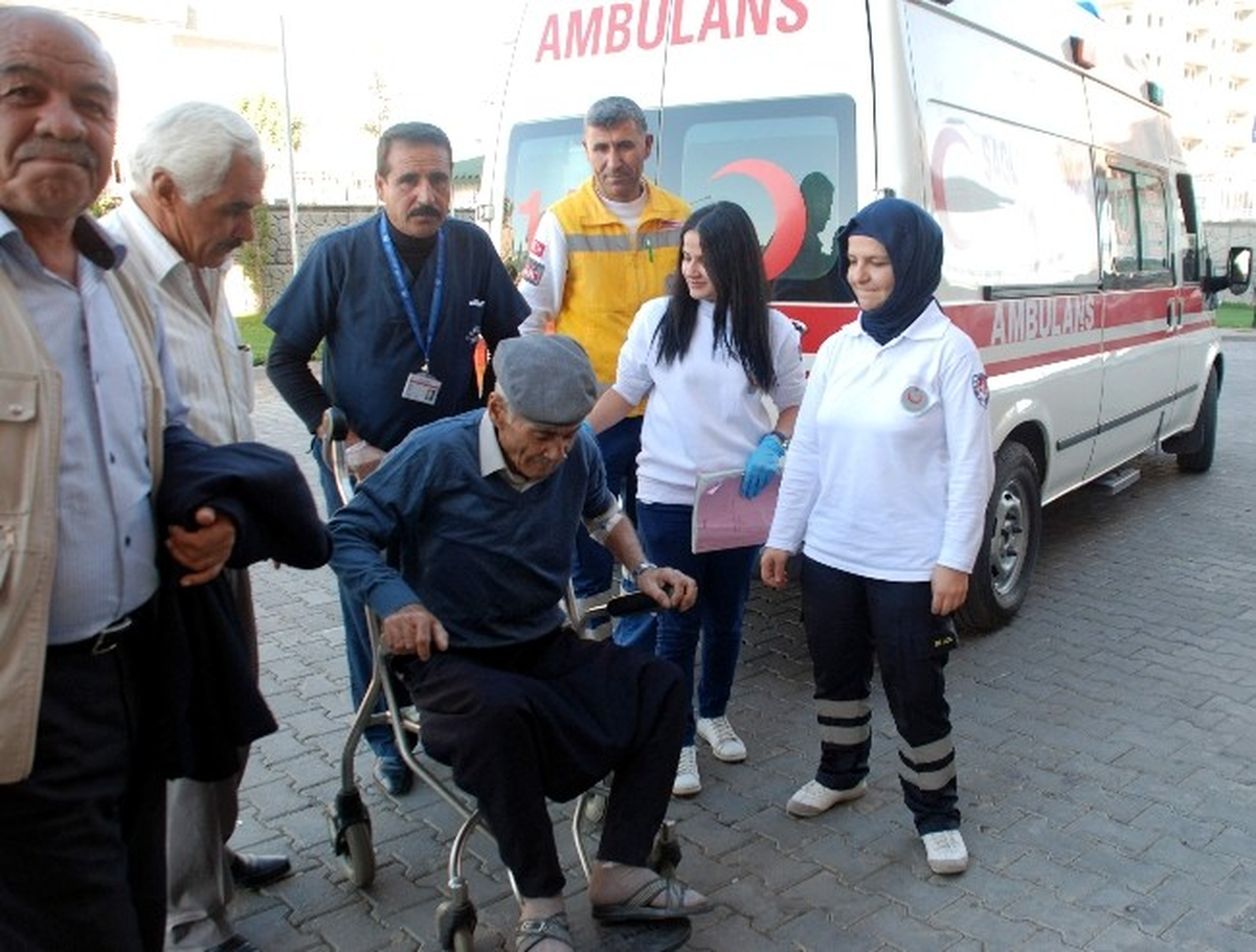 Asmayı Budarken Düştü