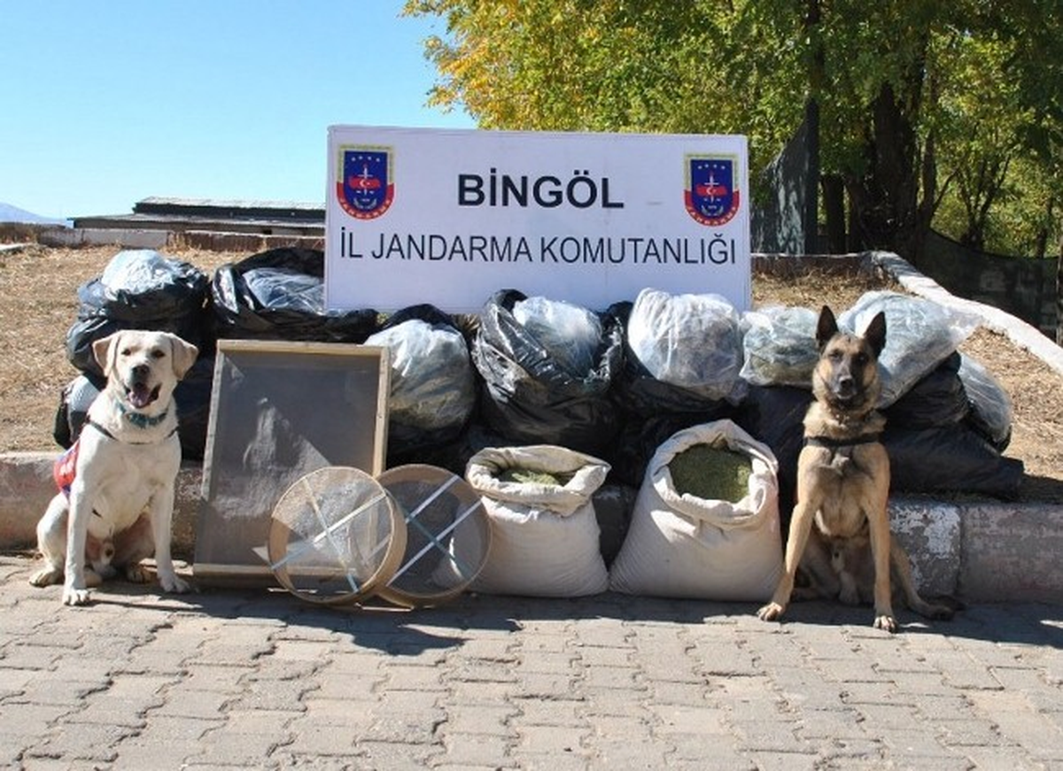Bingöl\'de 76 Kilo Esrar Yakalandı
