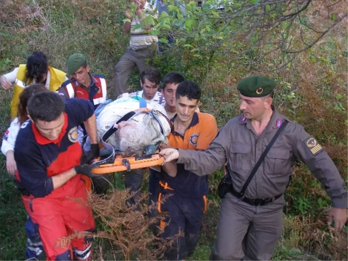 Dağda Kestane Toplayan Kadın Dört Saat Mahsur Kaldı