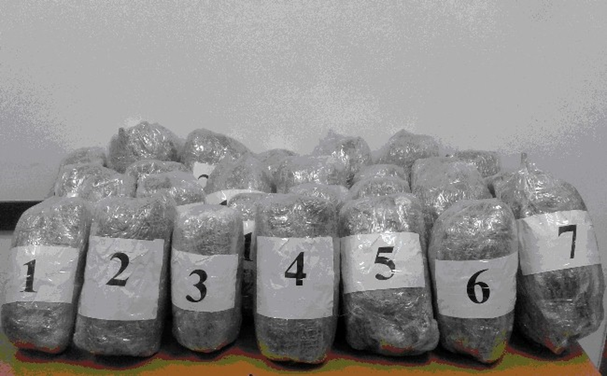 Kahramanmaraş\'ta 65 Kilo Esrar Ele Geçirildi