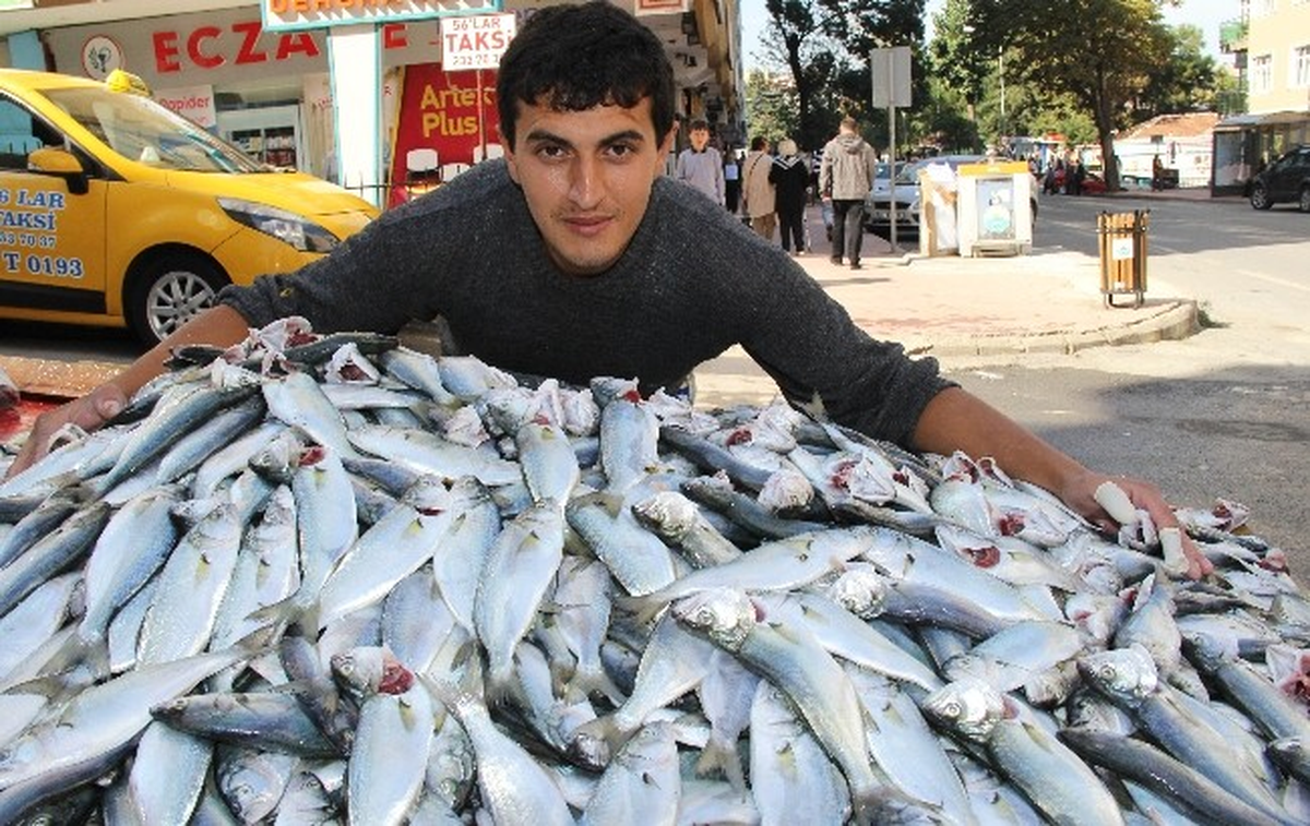 Karadeniz\'de Çinakop Bereketi