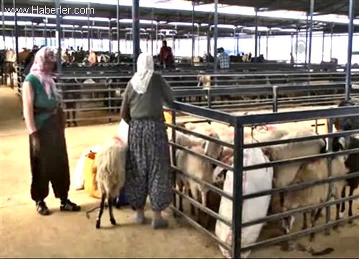 Burdur\'da Kurban Pazarına Sahte Para Kontrol Noktası