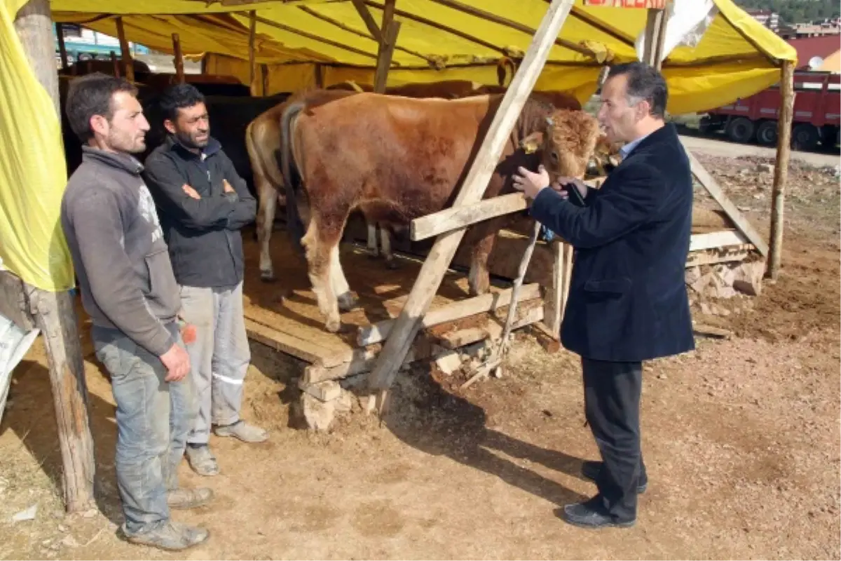 Kurban Satış Yerleri İlaçlanıyor