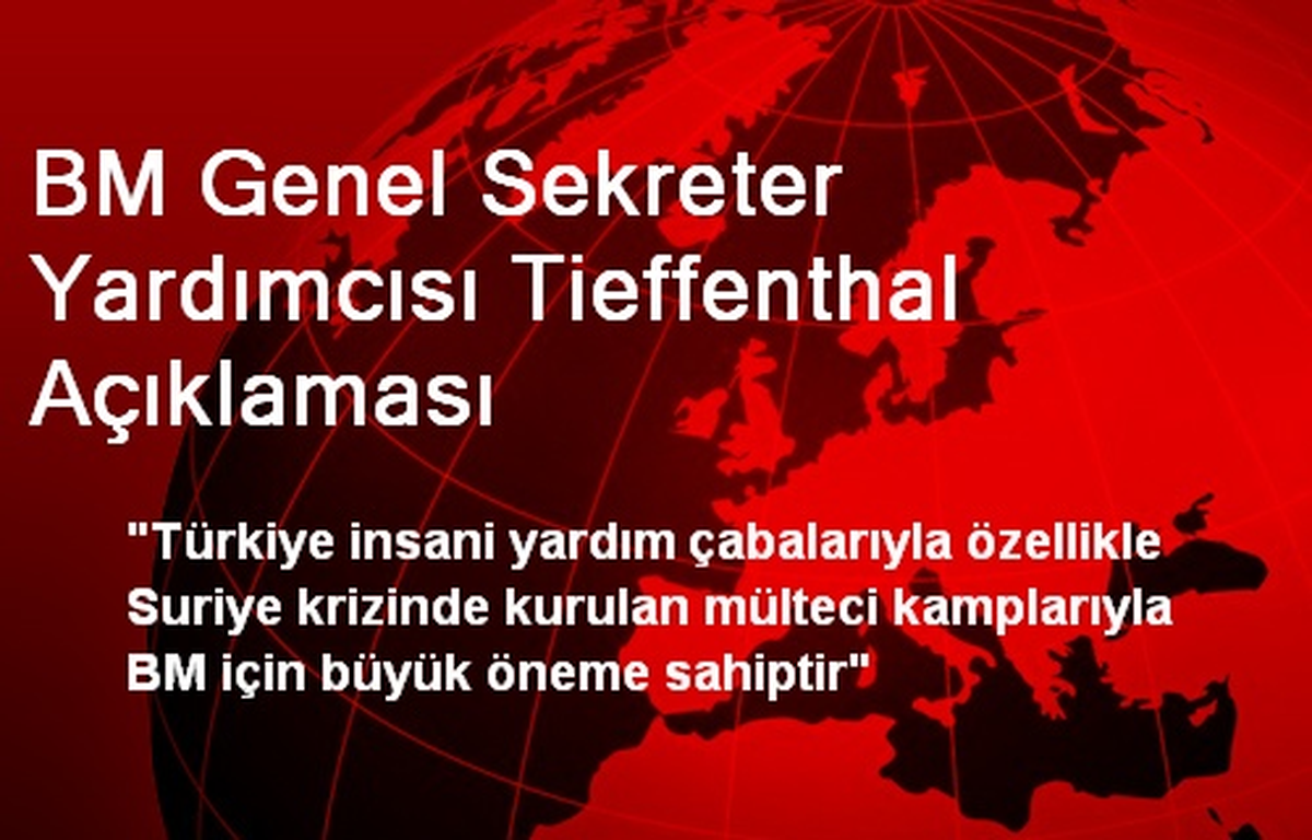 BM Genel Sekreter Yardımcısı Tieffenthal Açıklaması