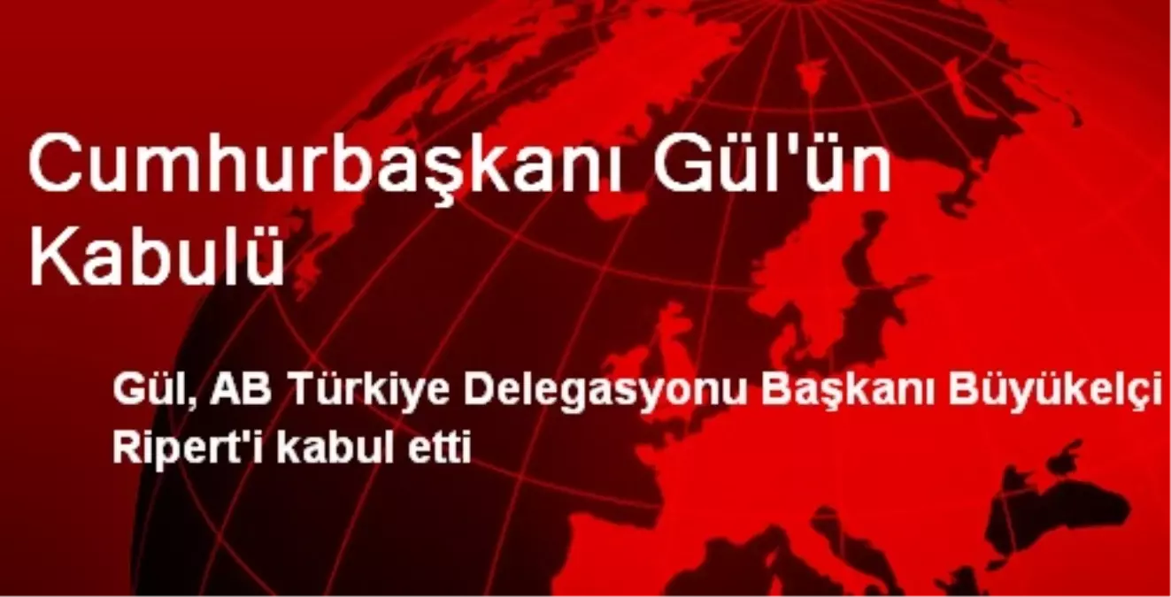 Cumhurbaşkanı Gül\'ün Kabulü