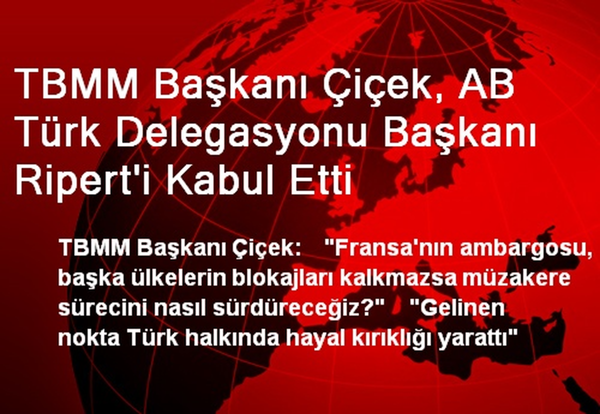 TBMM Başkanı Çiçek, AB Türk Delegasyonu Başkanı Ripert\'i Kabul Etti