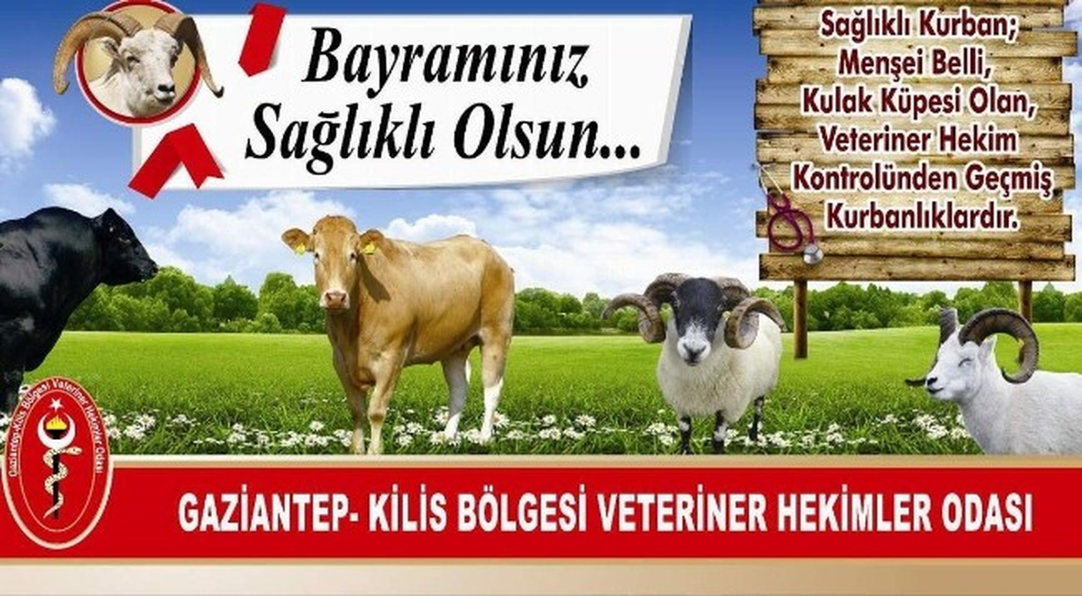 Veteriner Hekimleri Odası, Kurban Bayramı Öncesi Uyardı