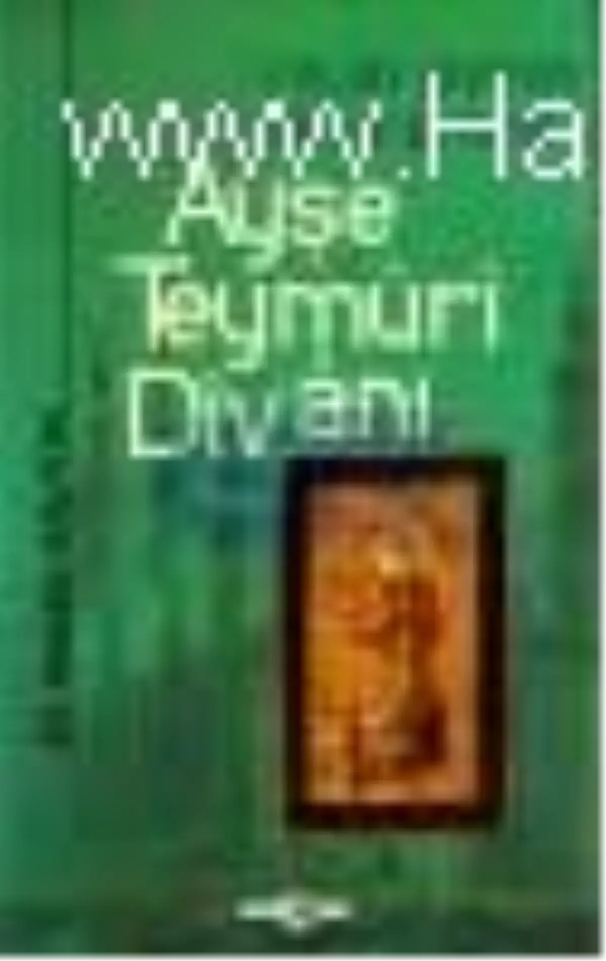 Ayşe Teymüri Divanı Kitabı