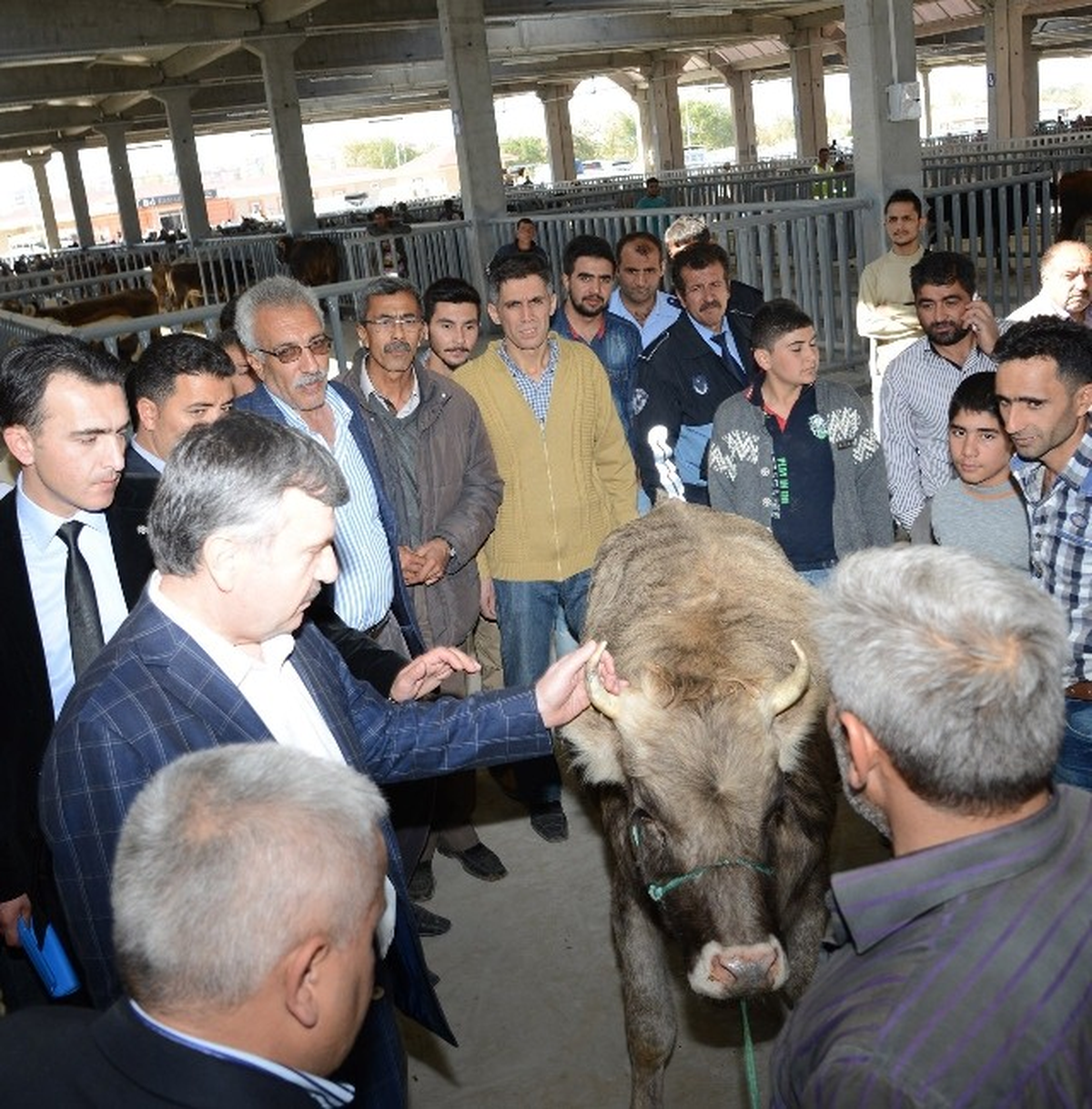 Başkan Akyürek Hayvan Pazarında