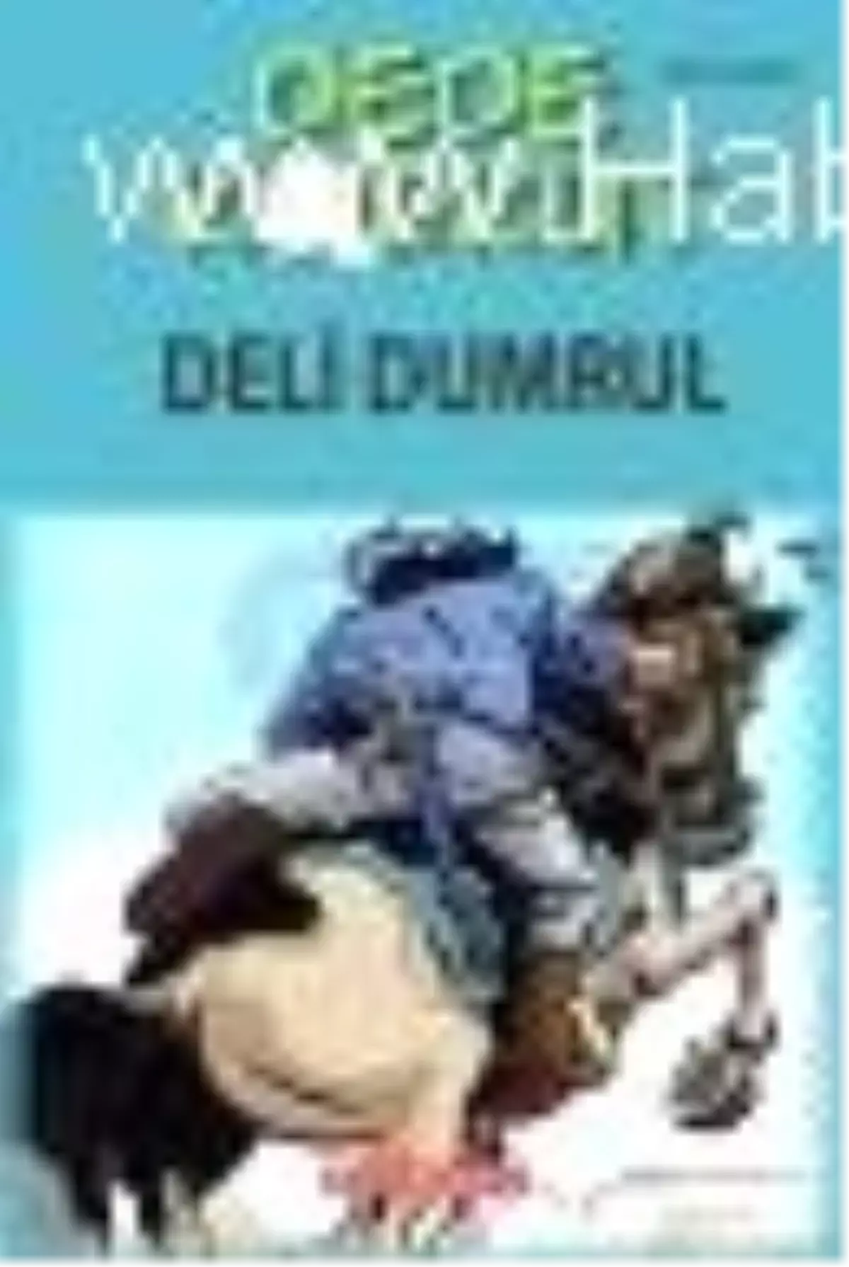 Dede Korkut - Deli Dumrul Kitabı