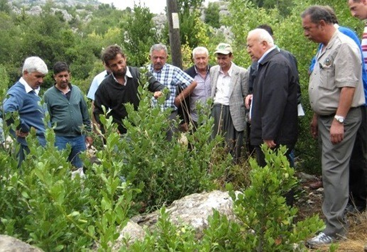 Hasat Öncesi Eğitim