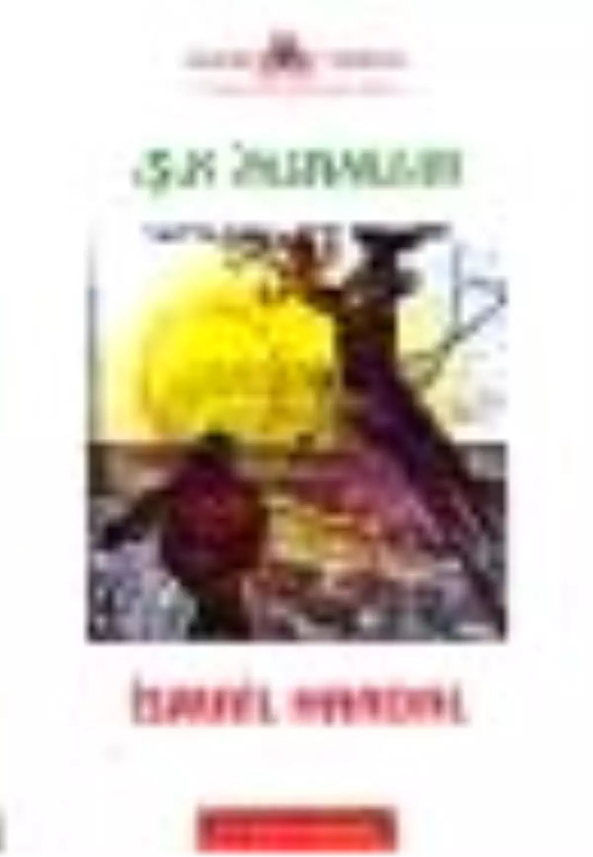 Işık İnsanları Kitabı