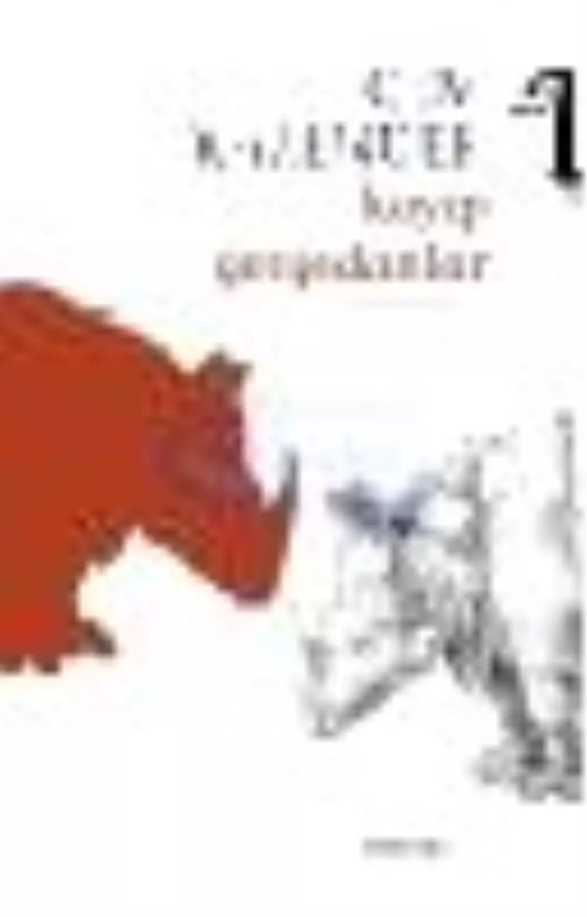 Kayıp Gergedanlar Kitabı